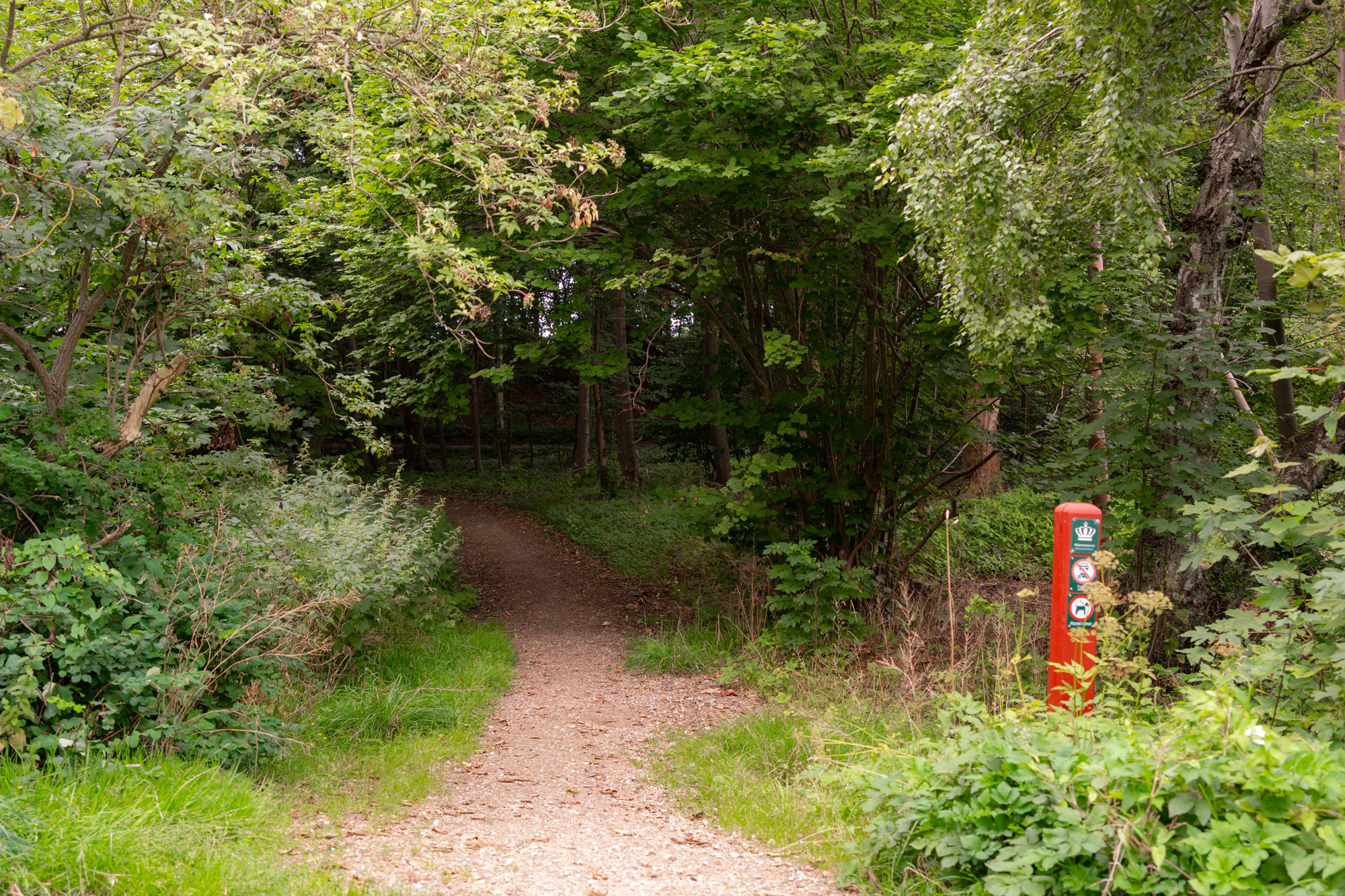 Kratmosevej 17, 2950 Vedbæk - Billed