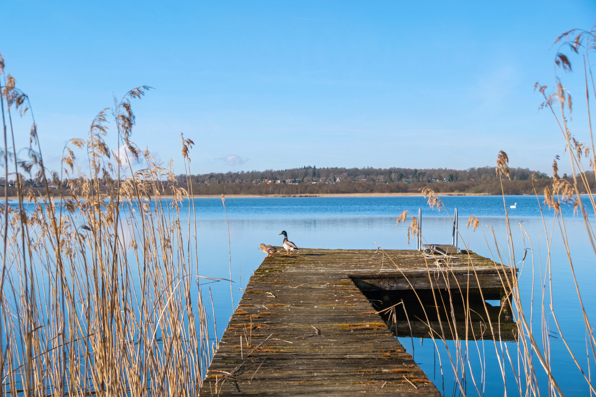 Tesch Alle 16, 2840 Holte - Billed
